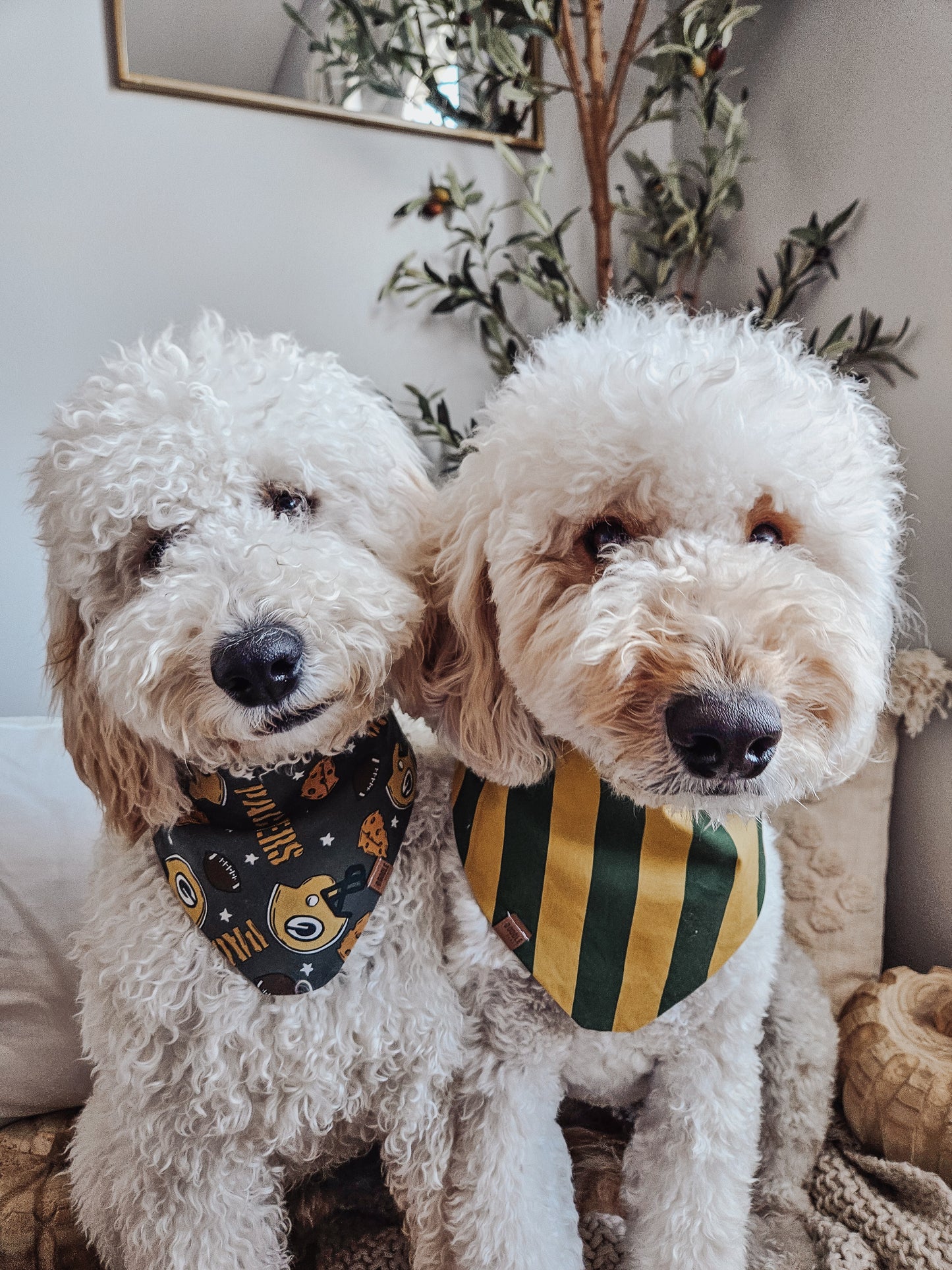 Green + Gold Pup Bandana