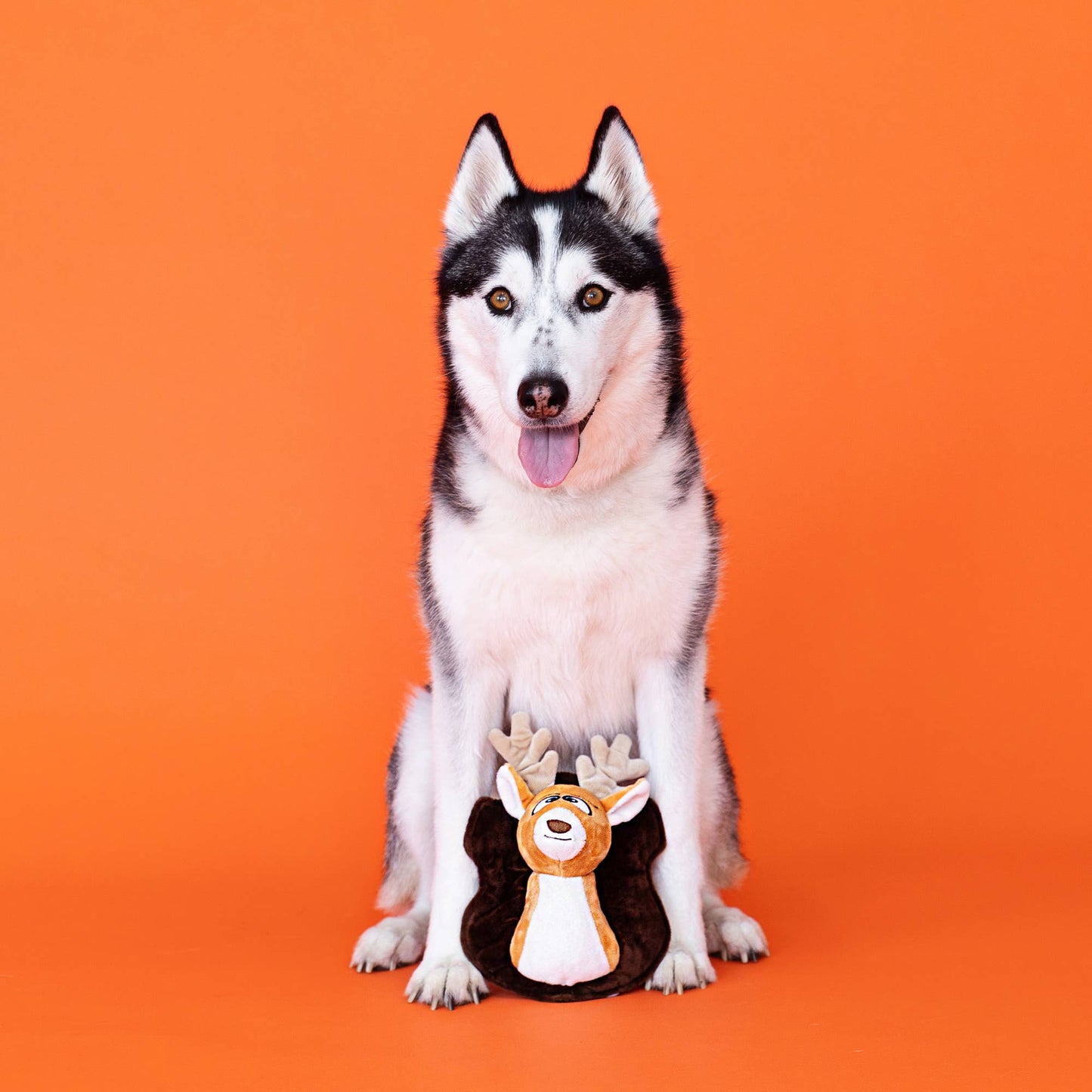 Oh Deer! Plush Toy