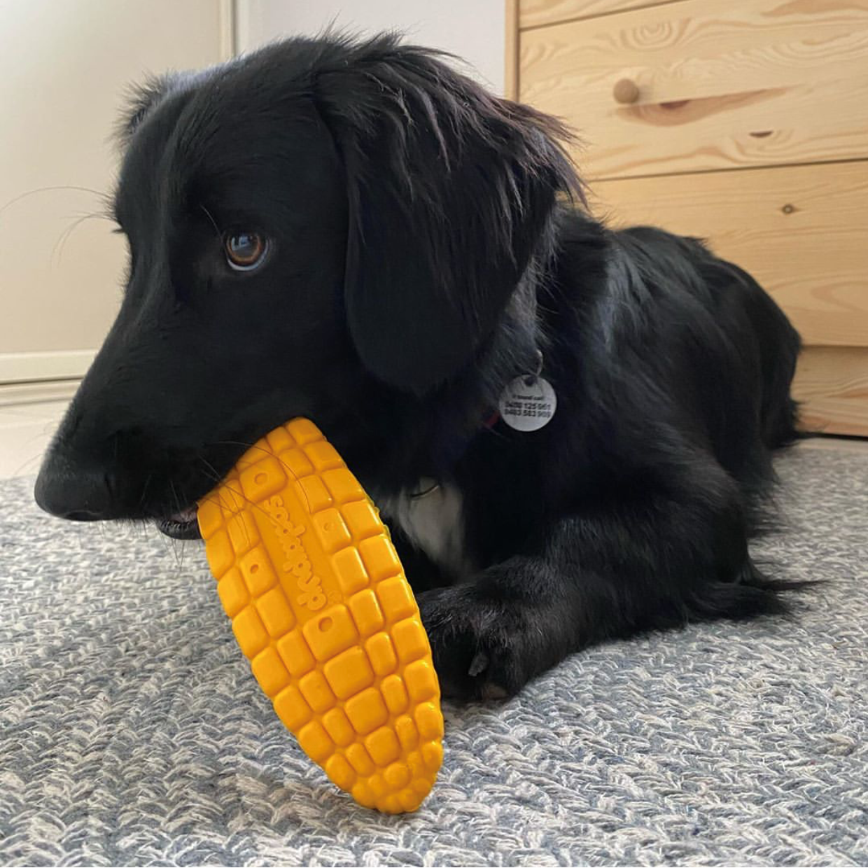 Corn Durable Nylon Chew Toy