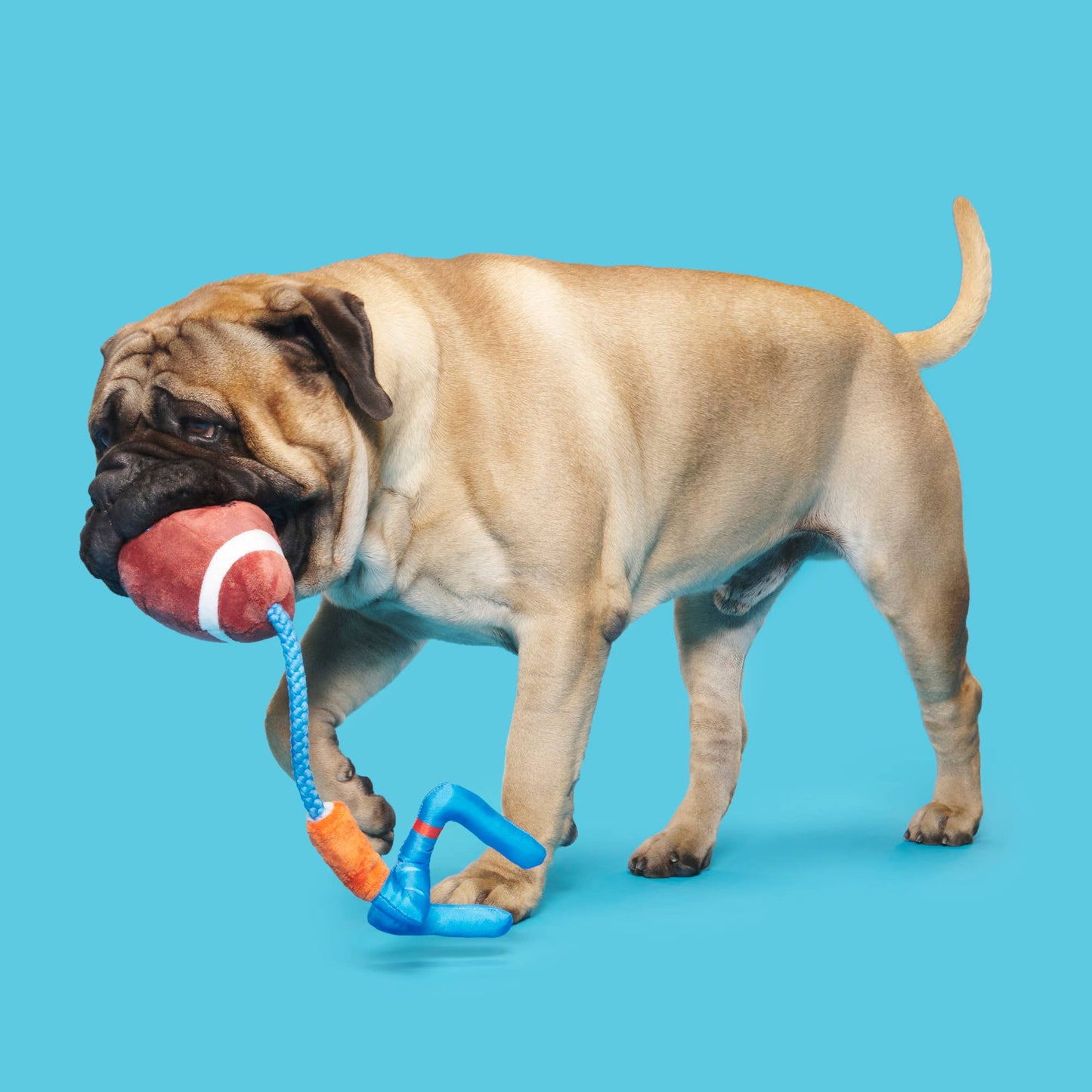 Touchdown Tug & Fetch Football Plush Toy