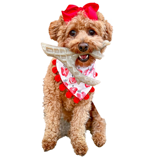 Hard Chew Nylon Antlers - Elk