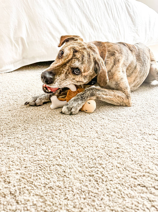 Plush/Nylon Combo 2-in-1 Toy: Deer