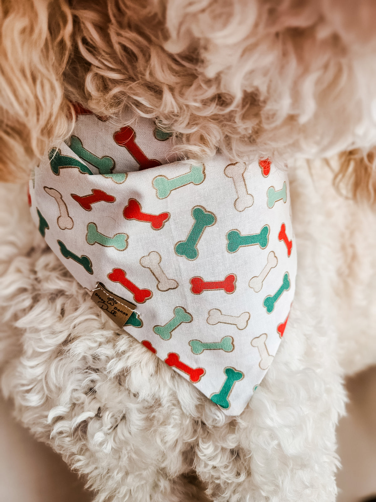 Holiday Pup Cup Dog Bandana