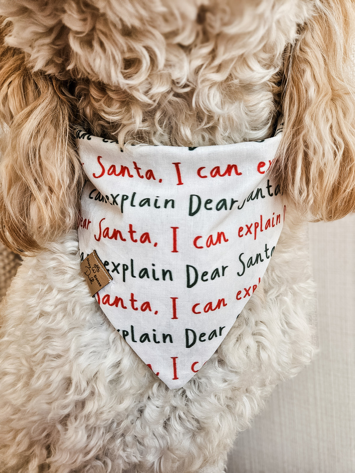 I Can Explain Dog Bandana