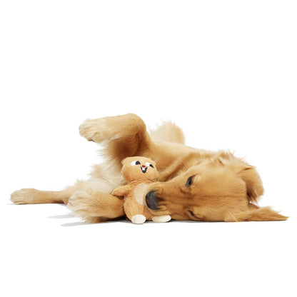 Nutty Squirrel Plush Toy
