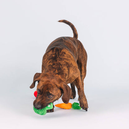 Veggies 3 Piece Toy Set