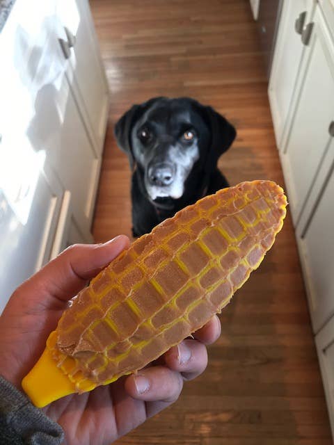 Corn Durable Nylon Chew Toy