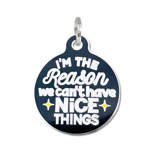 Can't Have Nice Things - Collar Charm