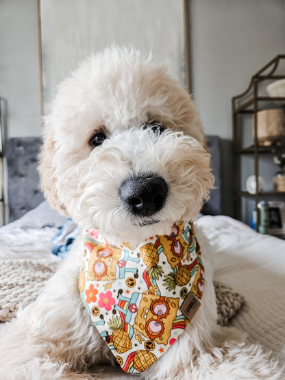 Groovy Sponge Pup Bandana
