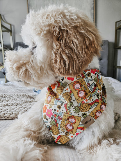 Groovy Sponge Pup Bandana