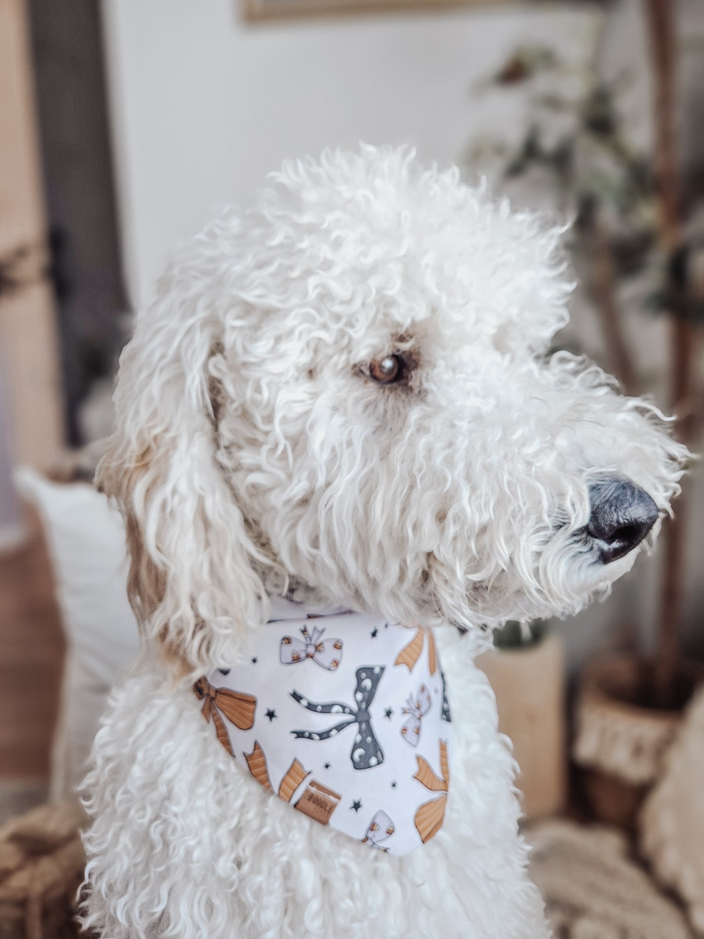 Girly Halloween Pup Bandana