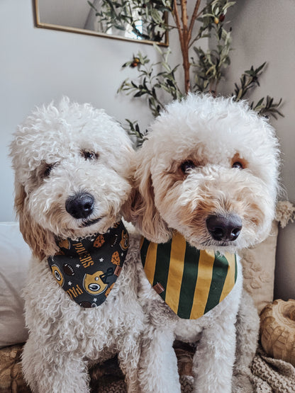 Green + Gold Pup Bandana