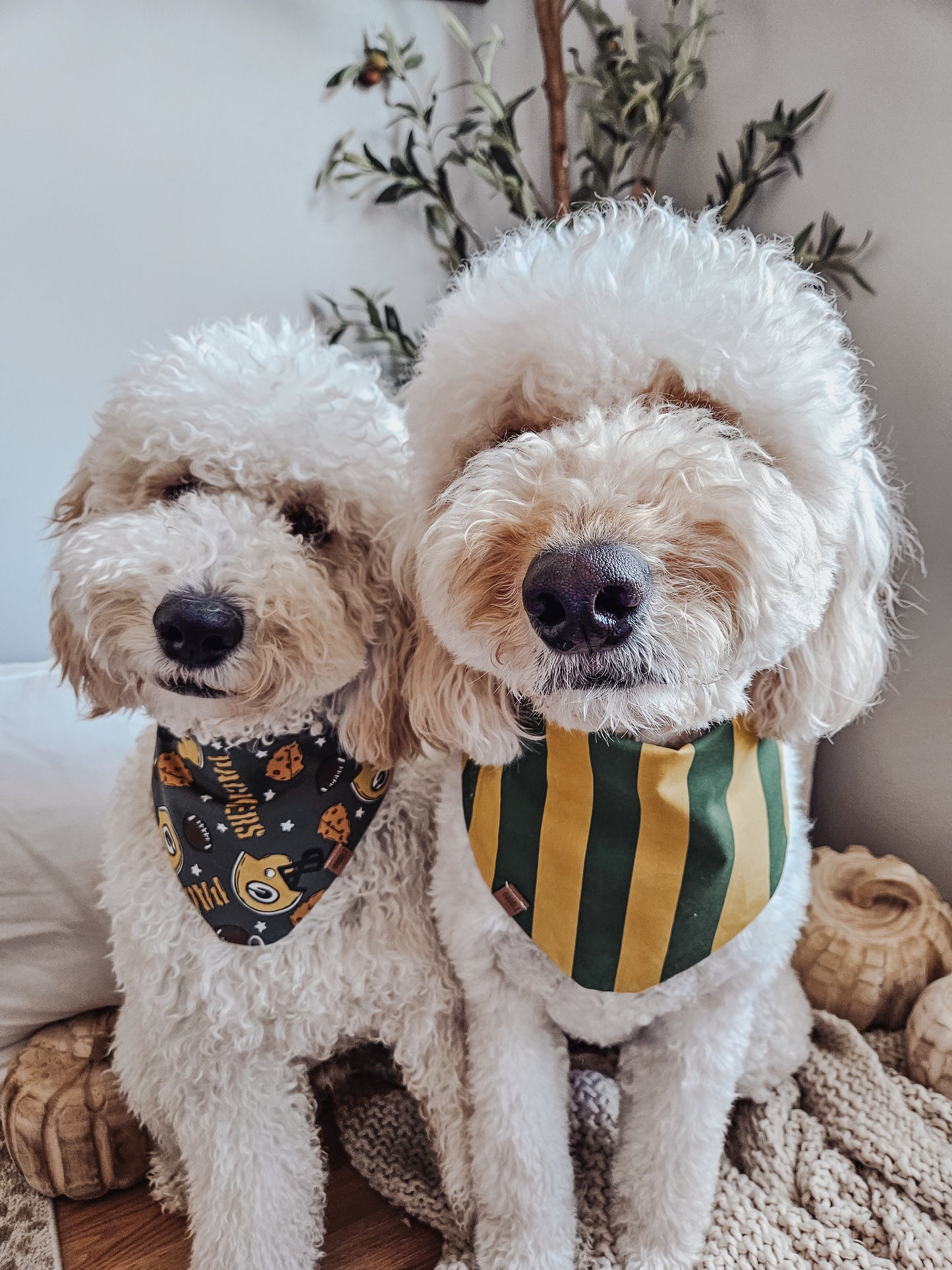 Green + Gold Pup Bandana