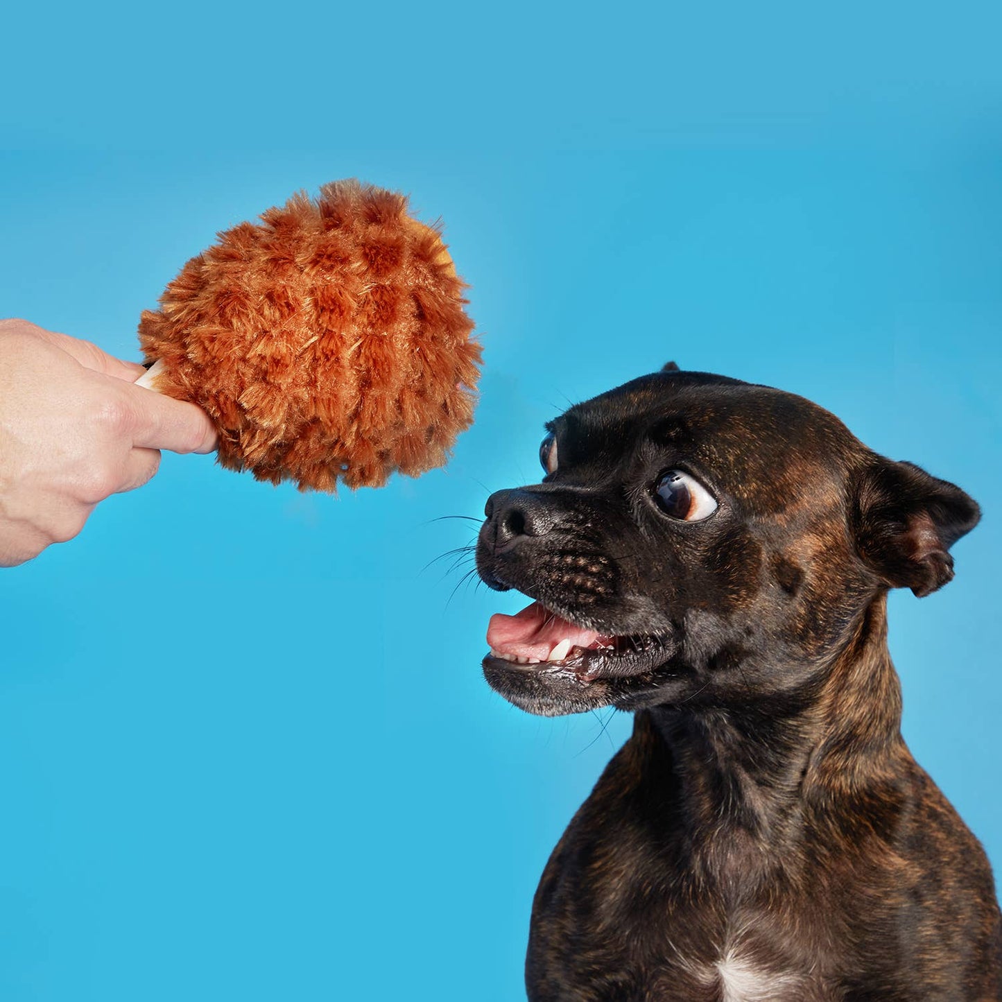 Turkey Leg Plush Toy