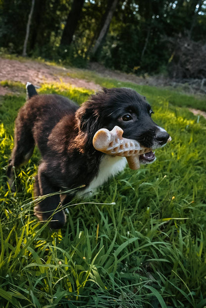 Hard Chew Nylon Antler - Deer
