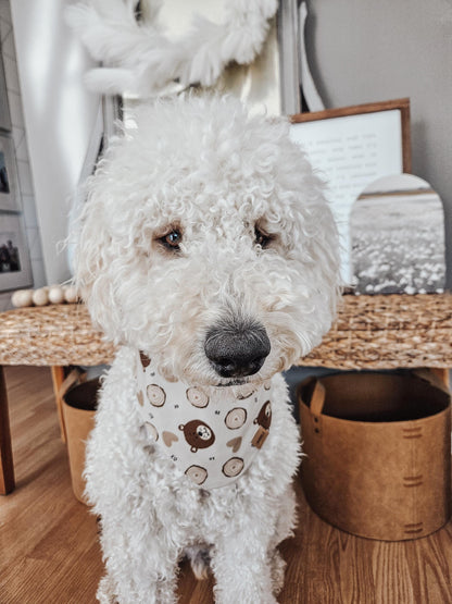 Bear Valentines Pup Bandana