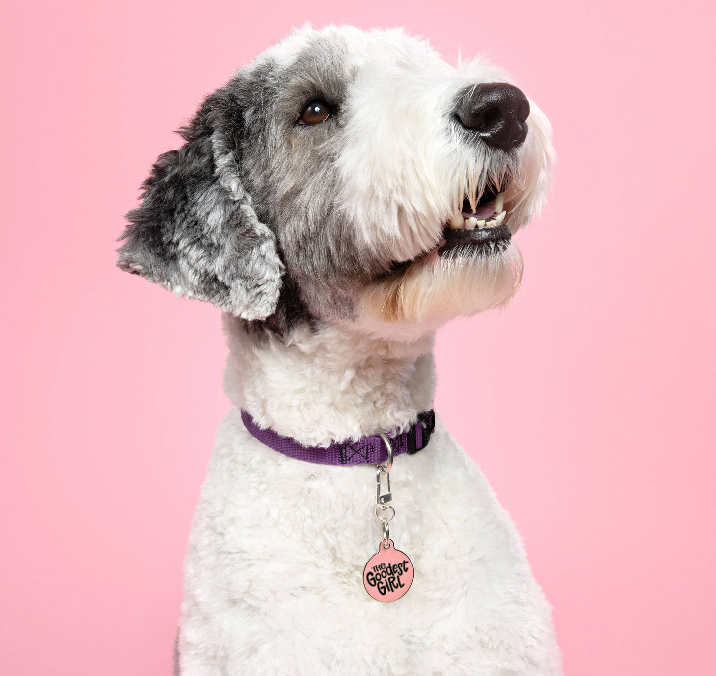 Goodest Girl - QR Code Collar Tag