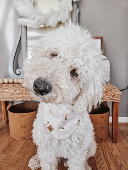 Little Bunny Pup Bandana