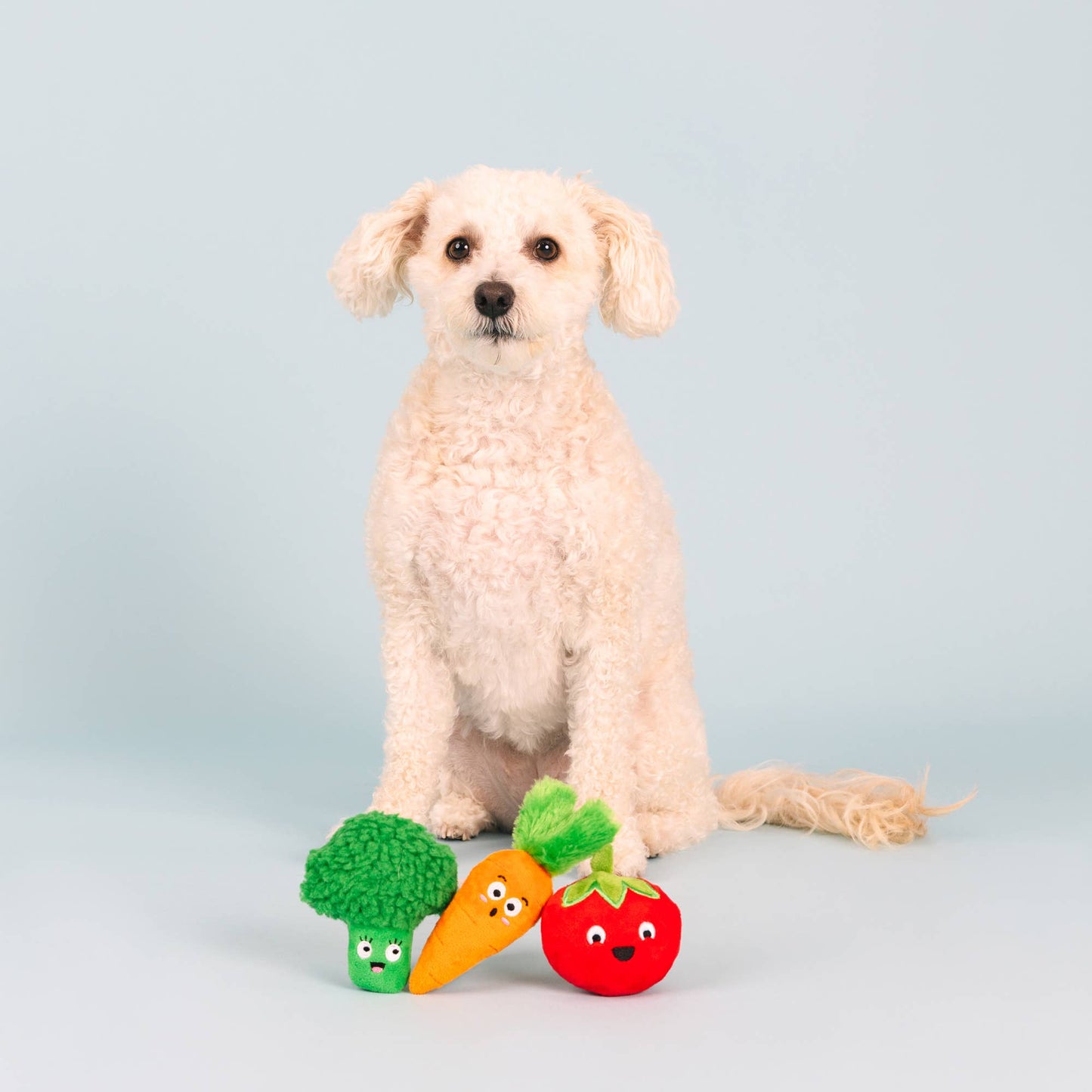 Veggies 3 Piece Toy Set