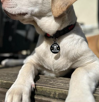 Little Fucker - Collar Charm