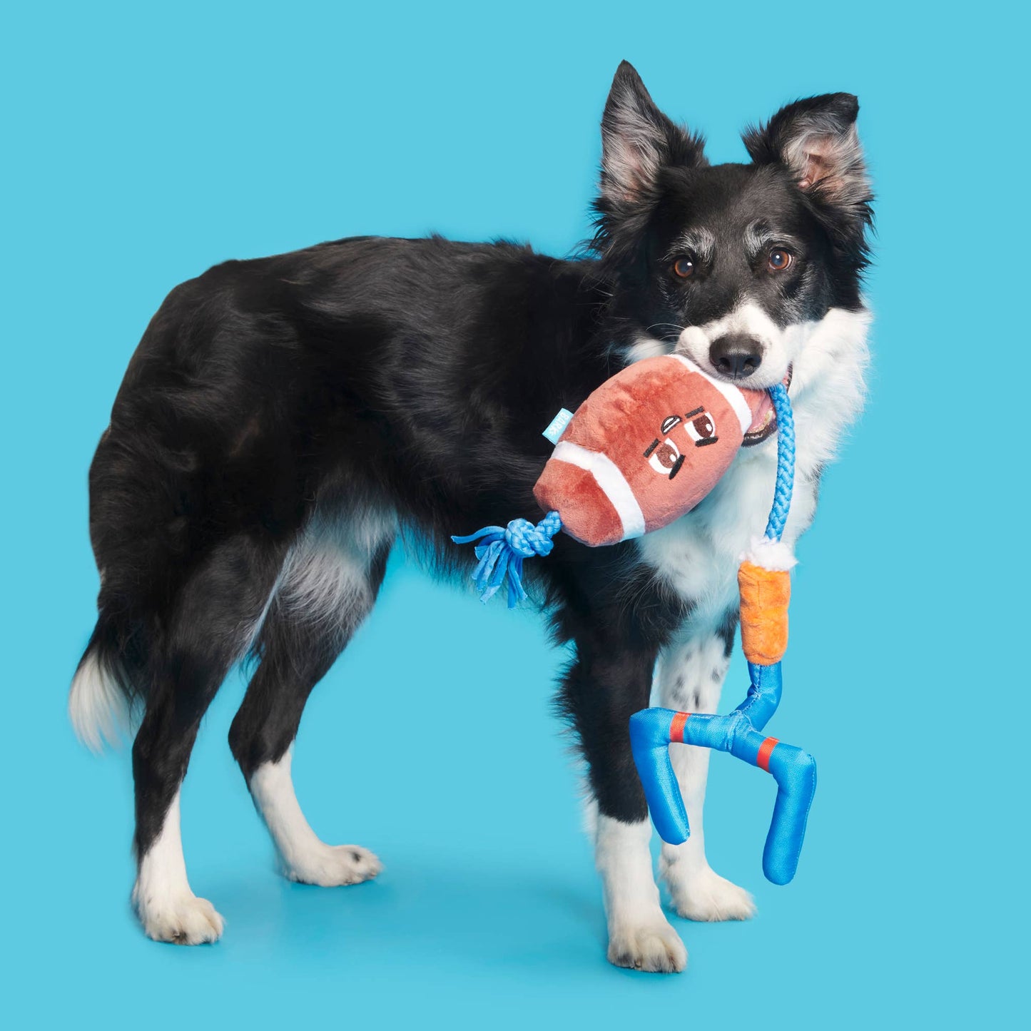 Touchdown Tug & Fetch Football Plush Toy