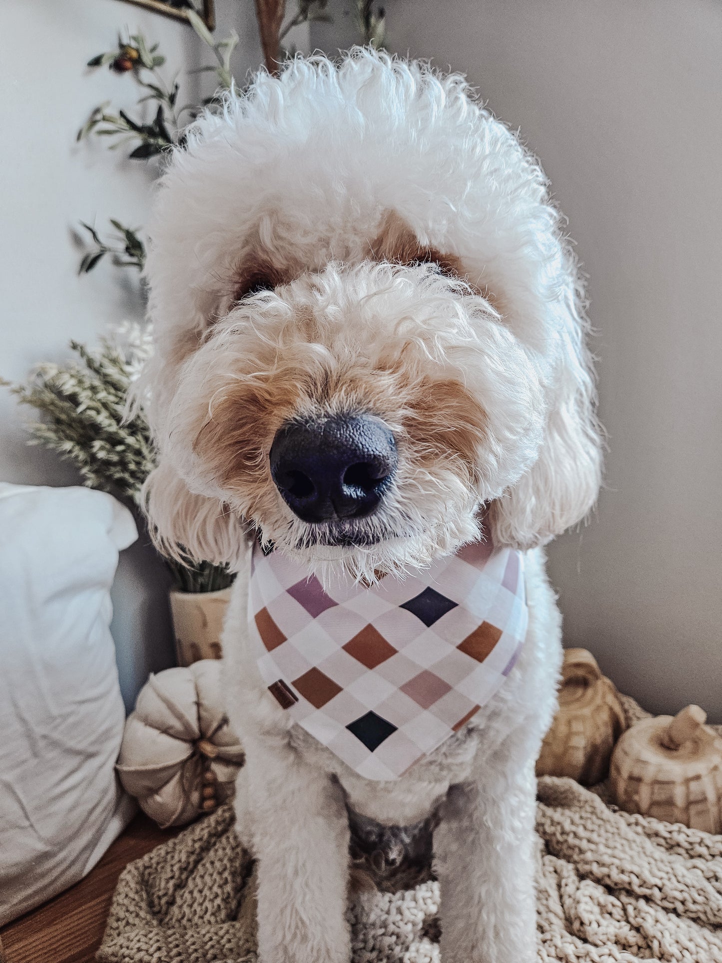 Costume Pups Bandana