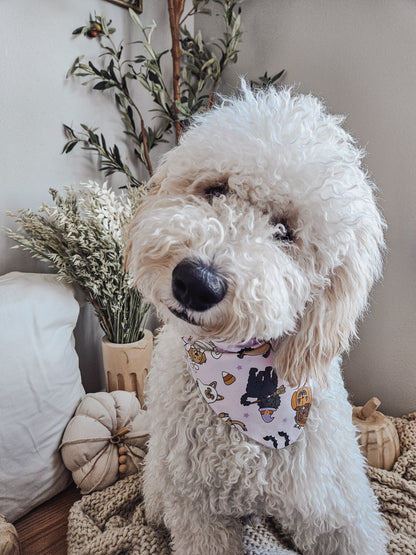 Costume Pups Bandana