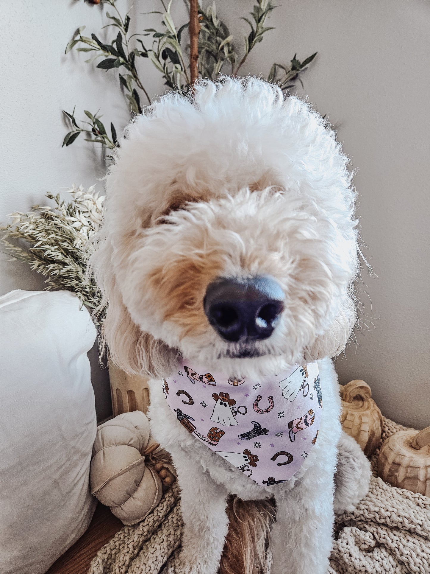 Girly Halloween Pup Bandana
