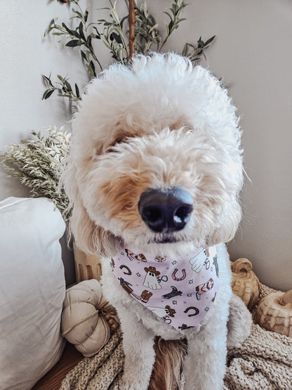 Girly Halloween Pup Bandana