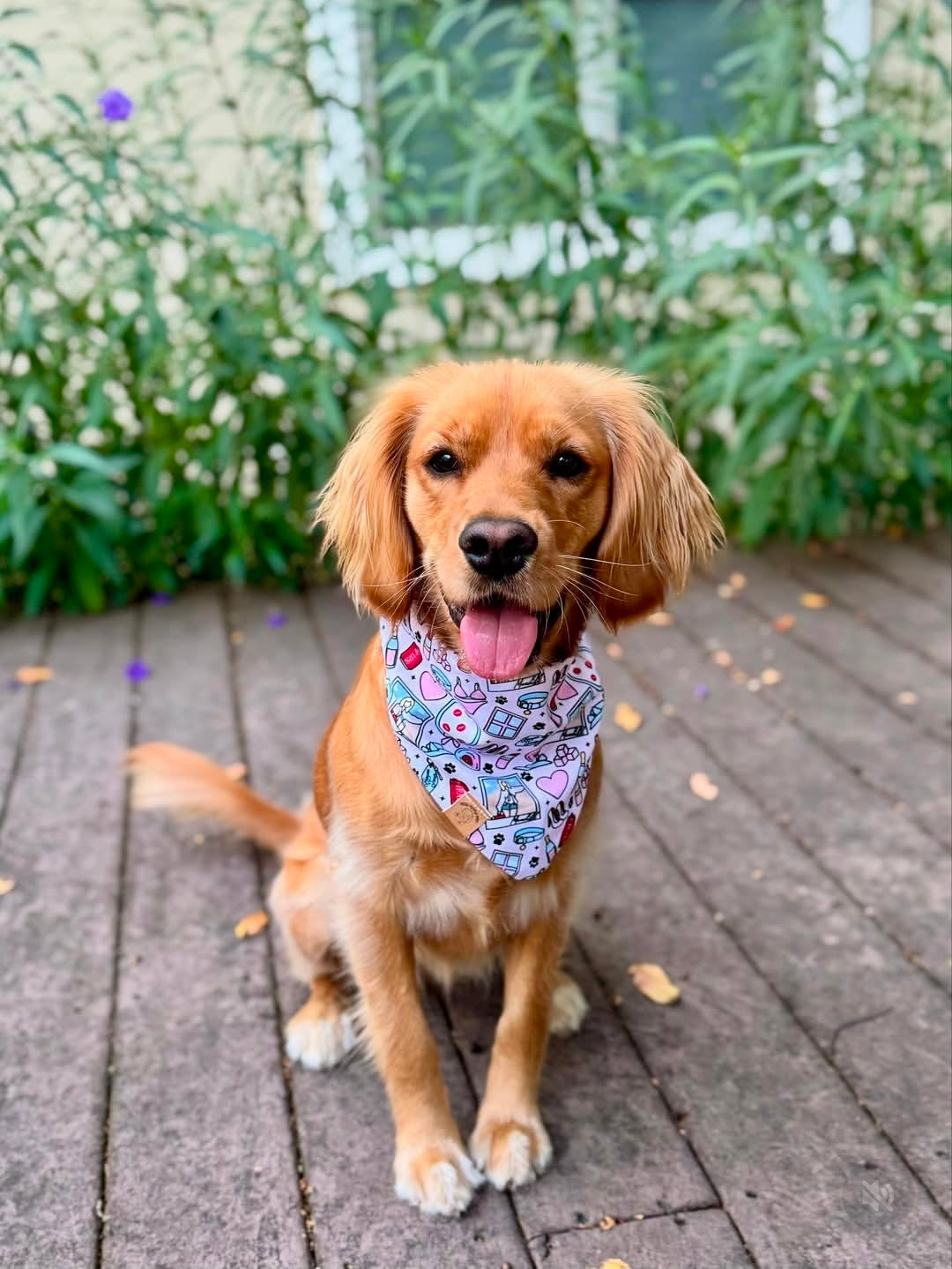 Carpenter Pup Bandana