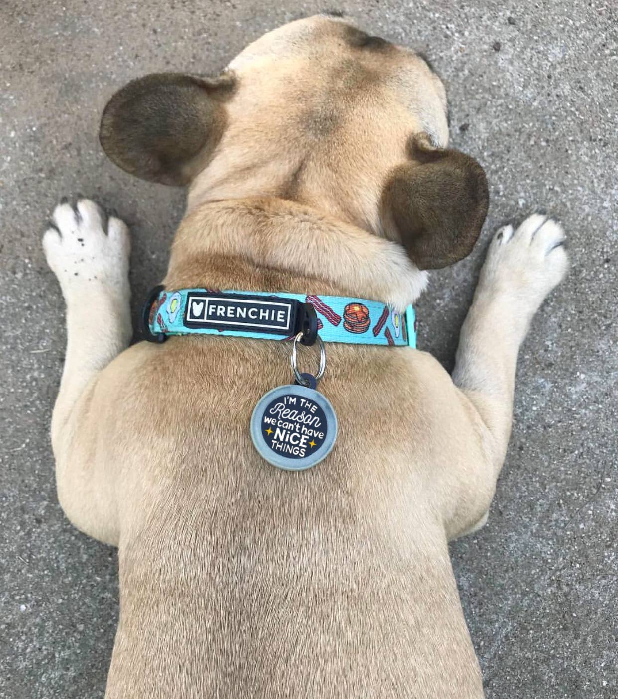 Can't Have Nice Things - Collar Charm