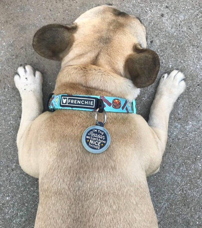 Can't Have Nice Things - Collar Charm