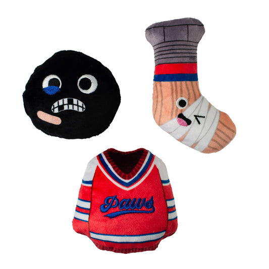 Hockey Toy Set