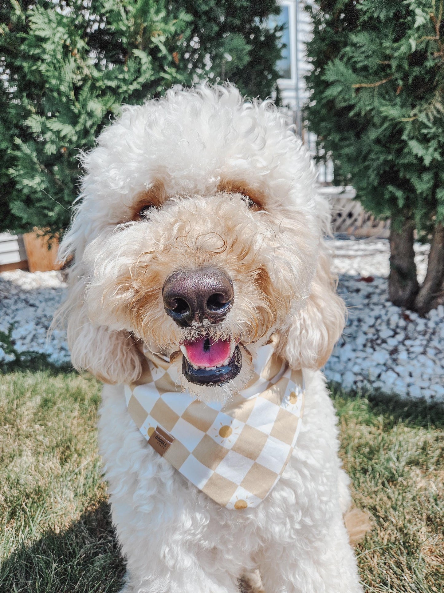 Country Summer Dog Bandana