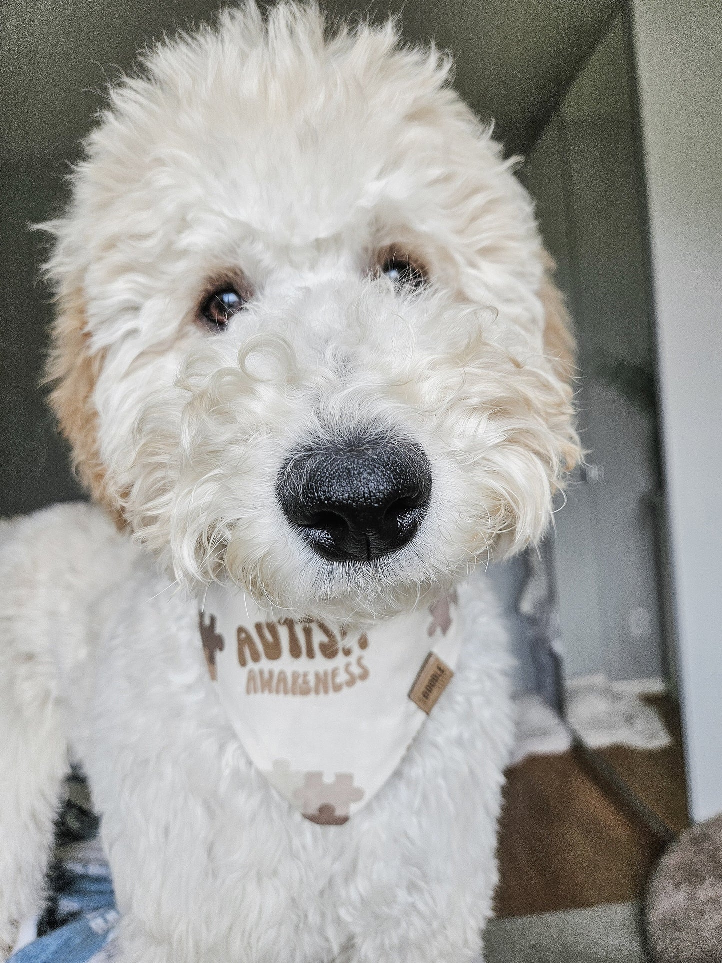 Neutral Autism Awareness Pup Bandana