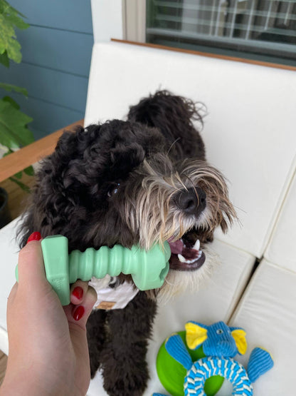 The Bolt Dog Toy