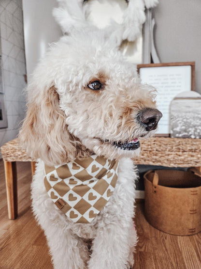 Bear Valentines Pup Bandana