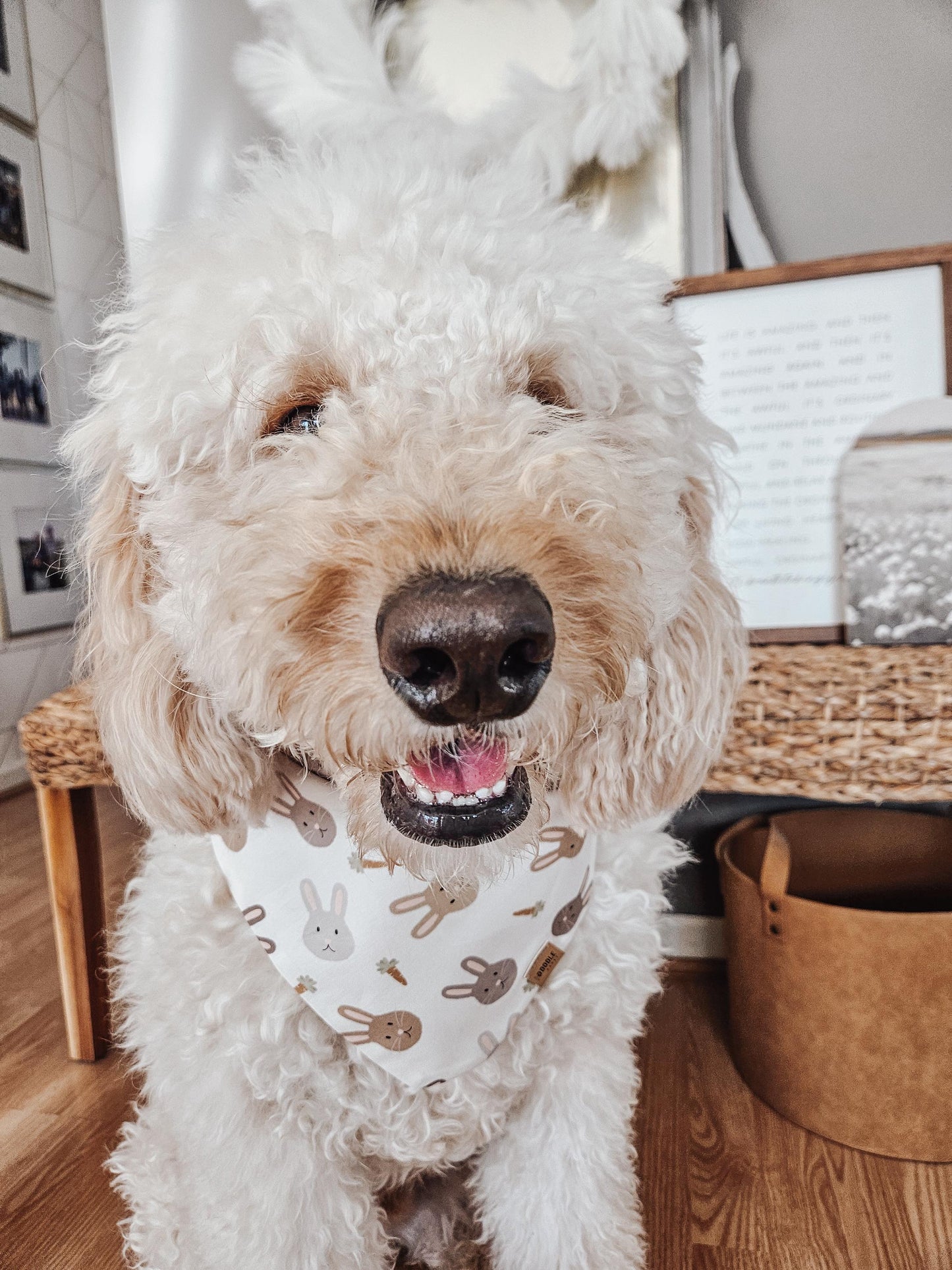 Little Bunny Pup Bandana