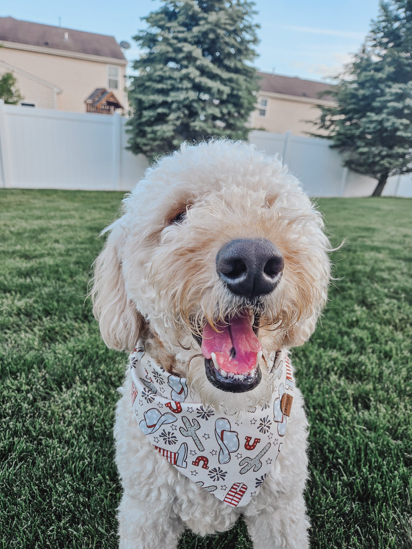 Country 4th Pup Bandana