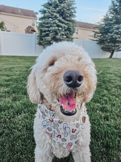 Country 4th Pup Bandana