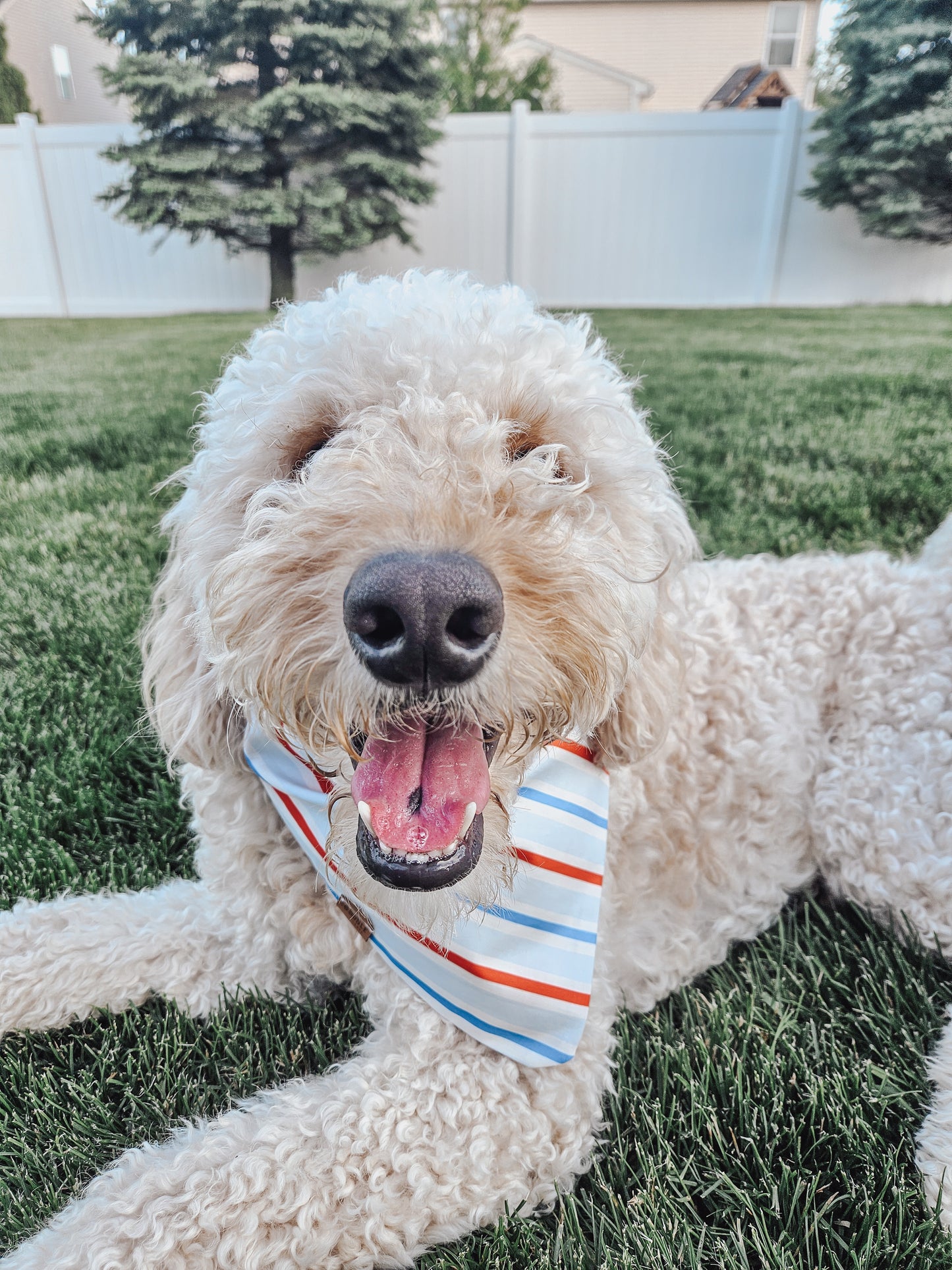 Red White And Boom Dog Bandana