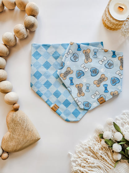 Blue Moms Valentine Pup Bandana