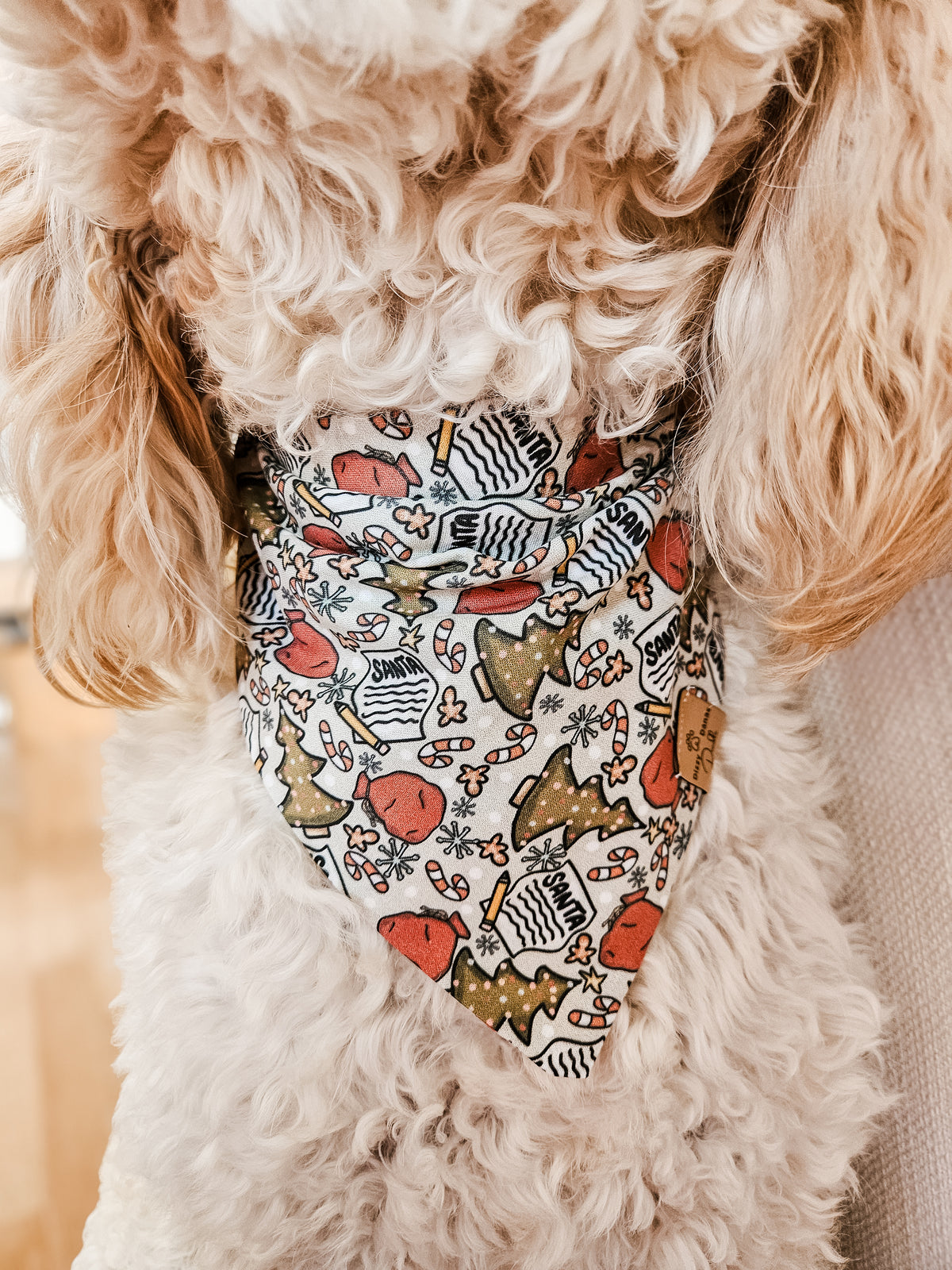 I Can Explain Dog Bandana