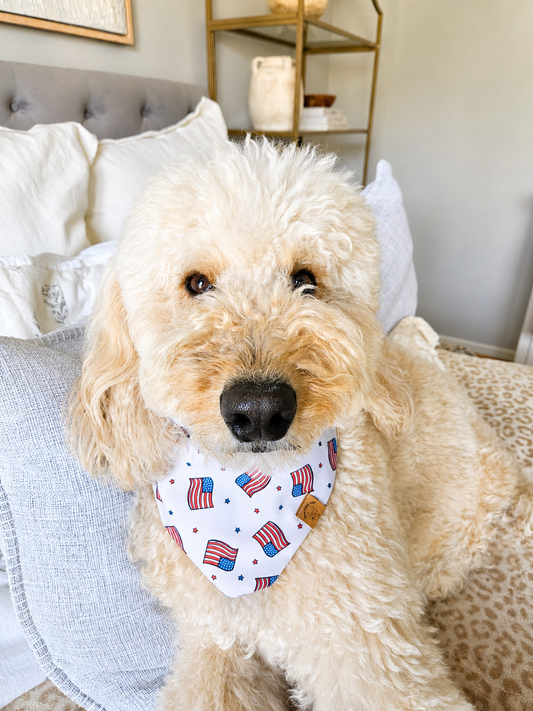 Stars & Stripes Pup Bandana