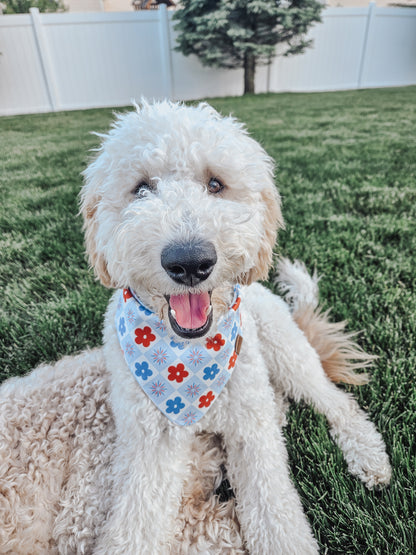 Red White And Boom Dog Bandana